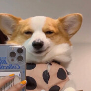 小日子过的不错