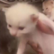 Ismail Ahmad Kanabawi - steam id 76561199032448310