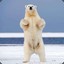 magicianbear