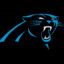 The Carolina Panthers