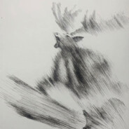 陆管上将猪猪侠