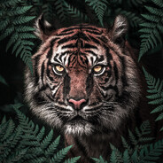 PetTiger