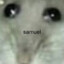 Samuel