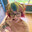 Good Puppy avatar