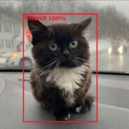 Meow avatar