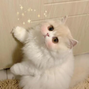 我是谁我也不知道