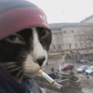 Kozicka's avatar