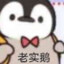 Qpy233