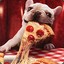 pizza dog