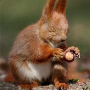 run3n - steam id 76561197970989197