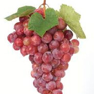 winogrona czerwone 40% taniej