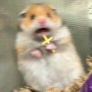 土豆牛子盖浇饭