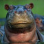 Hippopotamus