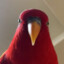 Fucking Bird