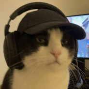 Macijke avatar