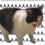 tescey