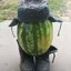 хамка