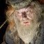 Albus dumbledore