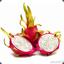 Dragonfruit