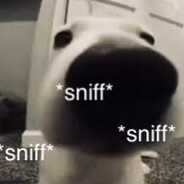 Professional Sniffer