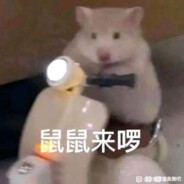 鼠鼠的春天呢？