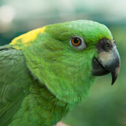 CEKTOR - steam id 76561197960948624