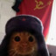 Котик