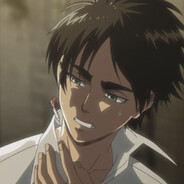 Eren 80%