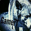 GamerT