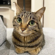 theLiGHiNiNG_Billibons