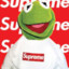 Kermit Frog supreme :&gt;