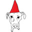 Gnome Wolf
