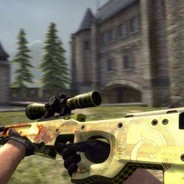 wdnmd***来个AWM助助兴