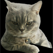 ❃𝓡𝓗𝓝❃ - steam id 76561198114293363