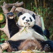 ПандА