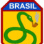 SGT PONTES