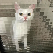 HK