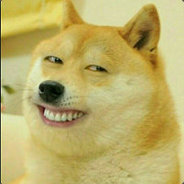 自信直男不会受伤