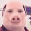 John Pork