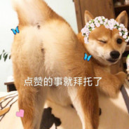 80岁单身人穷还磕碜