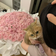 听韩星碎碎念 陪瞳瞳岁