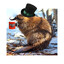 TheBritishBeaver