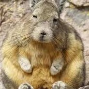 z0582167z