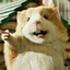 Yuki_Ahuuuuu