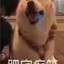 骨灰都尼玛给你扬了
