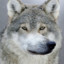 python manage.py runserver