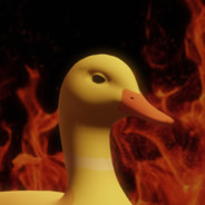 FriedDuck