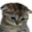 Avatar of player сyка