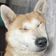 能源之城第一糕手