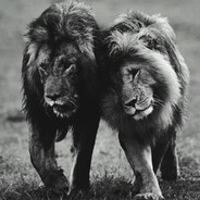 Scar